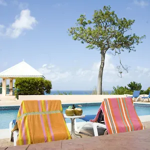 Cardiff And Jamaica